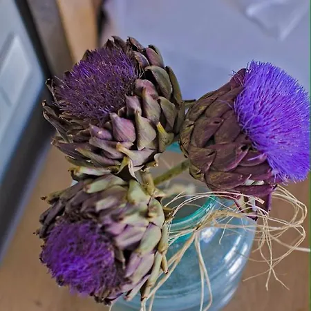 Hotel Signature By Masal Butik *