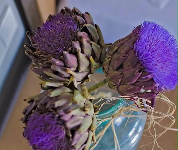 Szálloda Signature By Masal Butik *